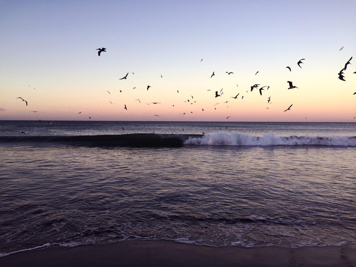 Malibu Popoyo Hotel Kültér fotó